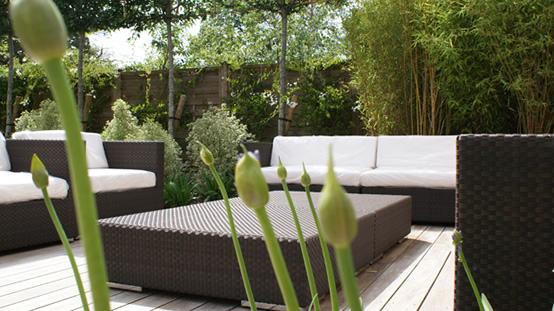 garden design wimbledon sw19 sw20