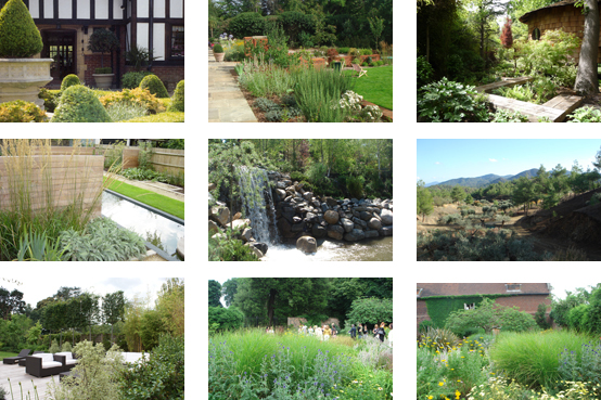 garden designers wimbledon sw19 sw20 Surrey